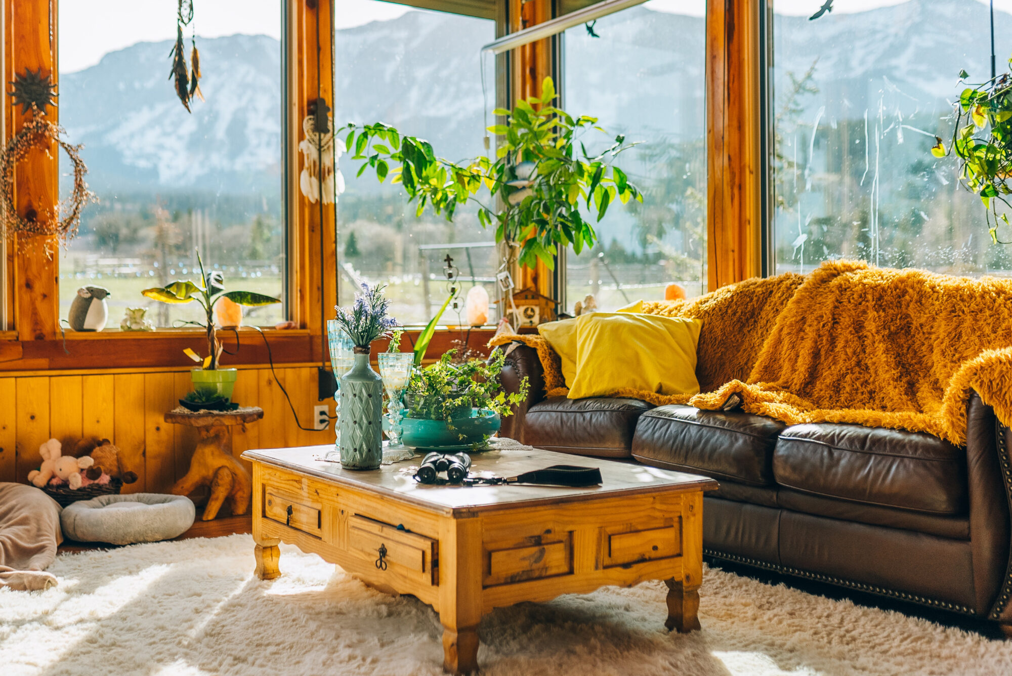 cosy-living-room-feat-img-1