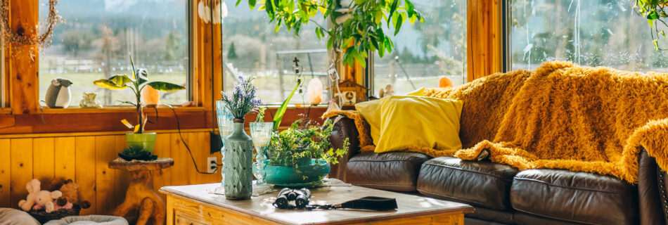 cosy-living-room-feat-img-1