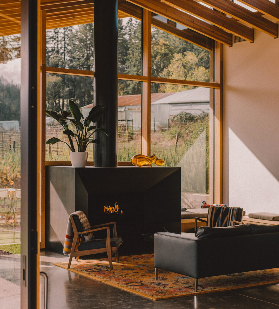 cosy-living-room-with-natural-lights-1