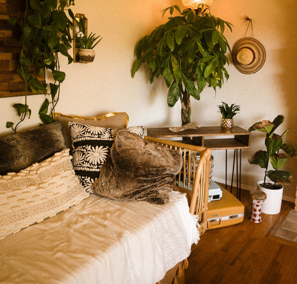 cosy-living-room-with-plants-1
