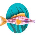 Wall Decoration Paper Longnose Hawkfish picture
