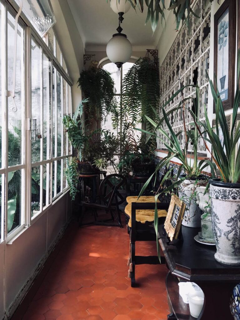 biophilic-design-in-an-indoor-veranda