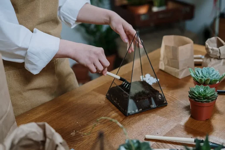 diy-decorative-houseplants-for-your-plant-loving-partner-2