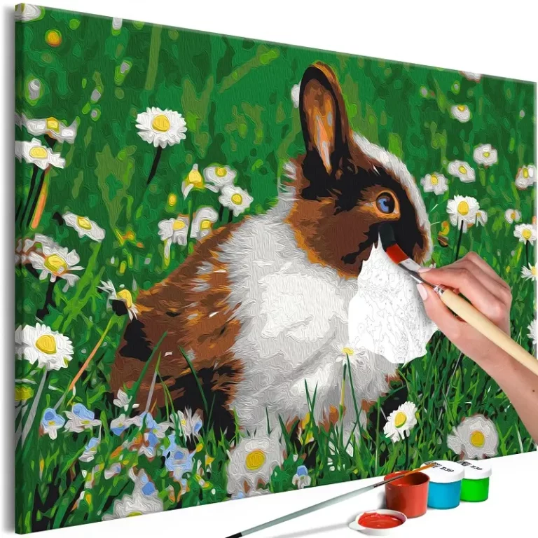 paint-by-numbers-adult-rabbit-in-the-meadow