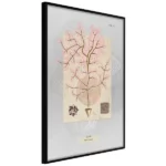 poster-mysterious-tree-150x150